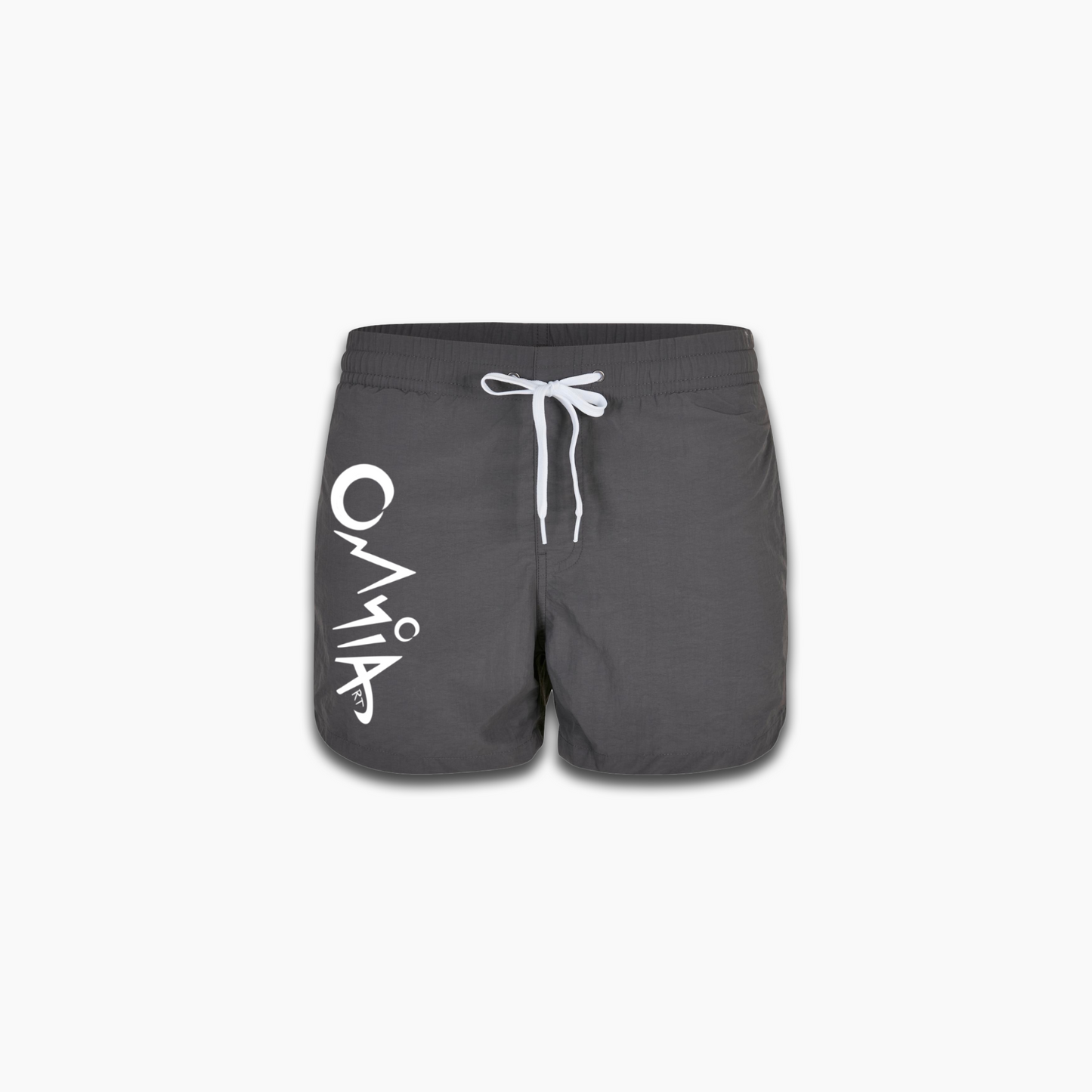 Logo Swimshorts Grey