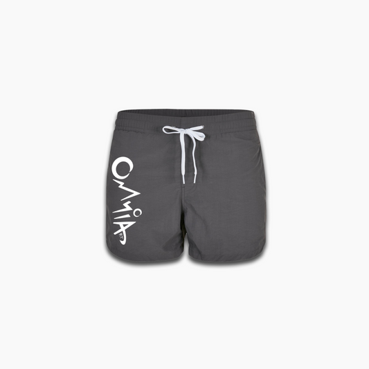 Logo Swimshorts Grey