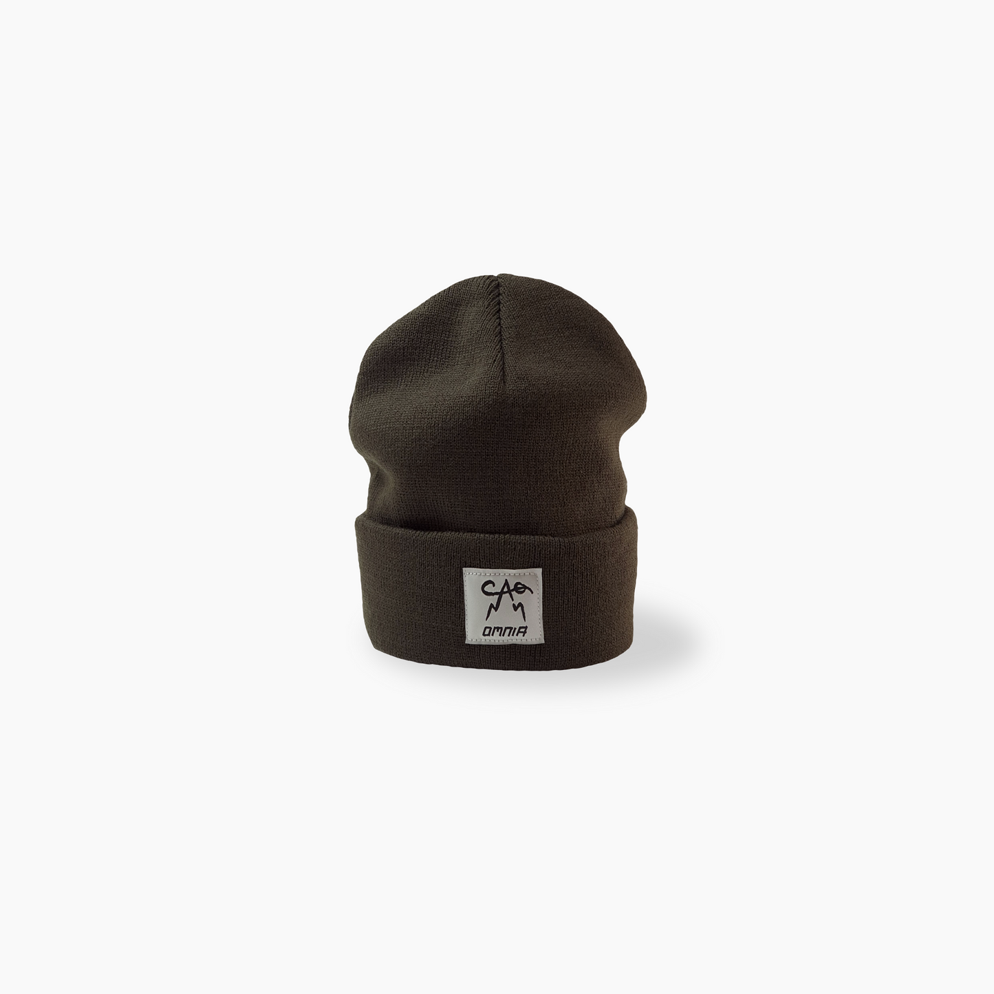 logo beanie green